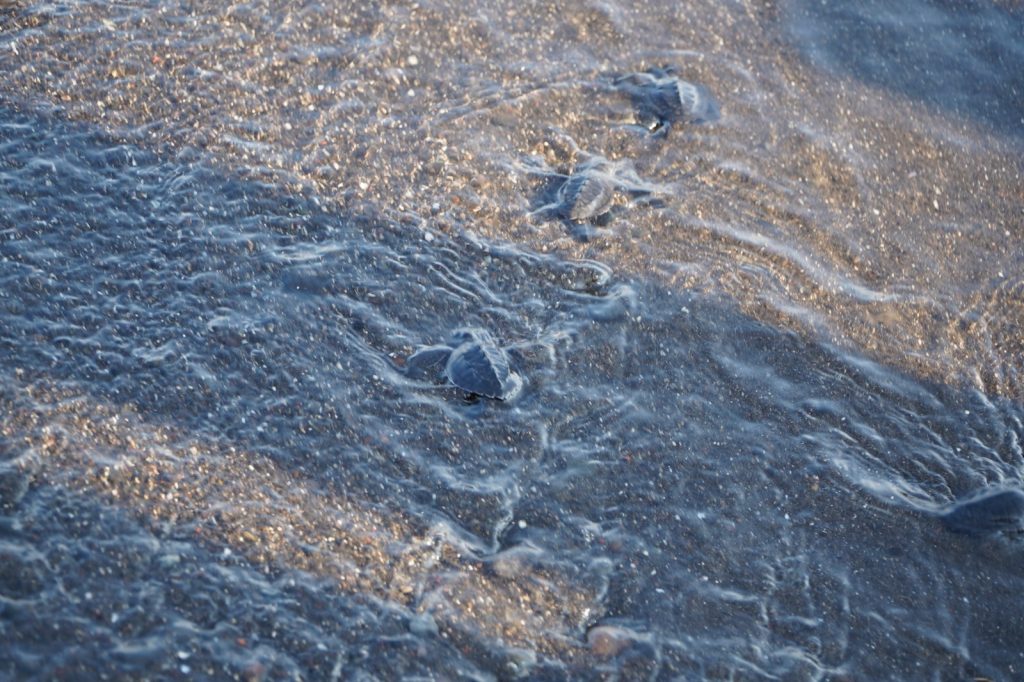 IMG-20260816-WA0020